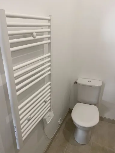 Remplacement d'un WC et pose d'un sèche-serviette à Saint-Just-Saint-Rambert, Saint-Étienne, Design & Bain